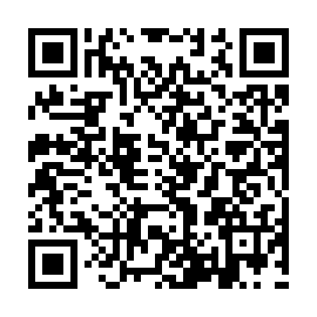 QR code for YP13369