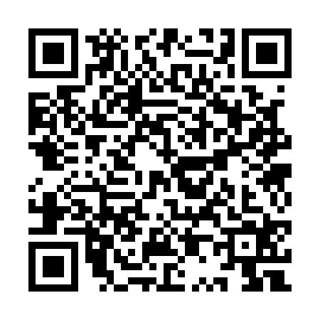 QR code for YP31249