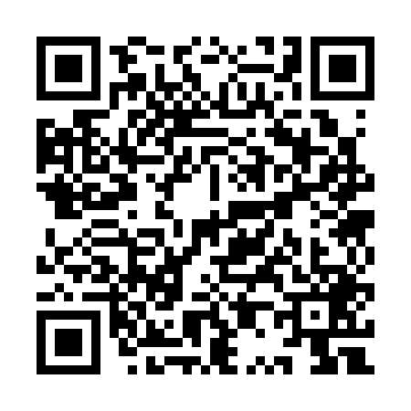 QR code for YP33493