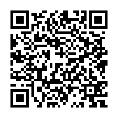 QR code for YR85338