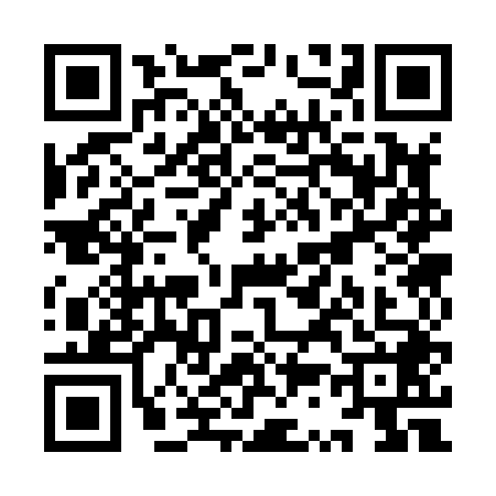 QR code for YS38487