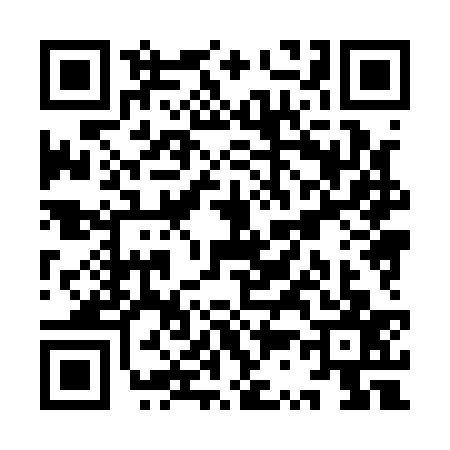QR code for YS81377