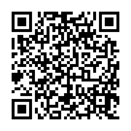 QR code for YT63868