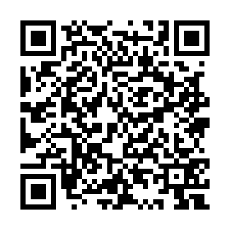 QR code for YT91738