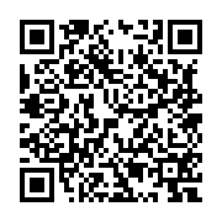 QR code for YU38541