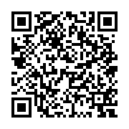 QR code for YV17119