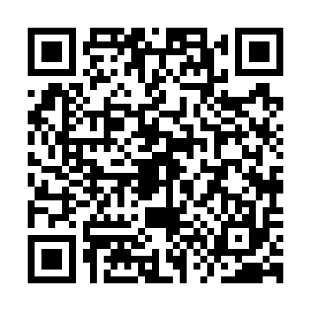 QR code for YV87171