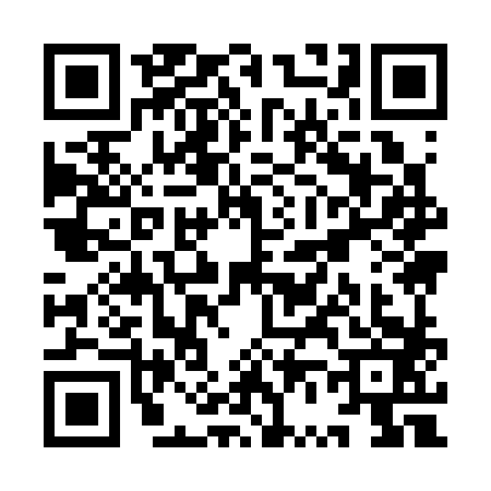 QR code for YV93833