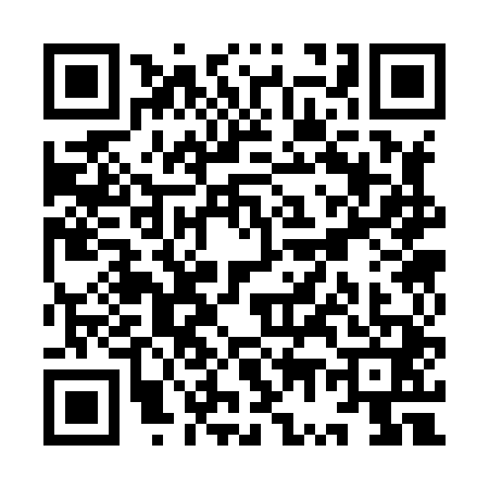 QR code for YW38411