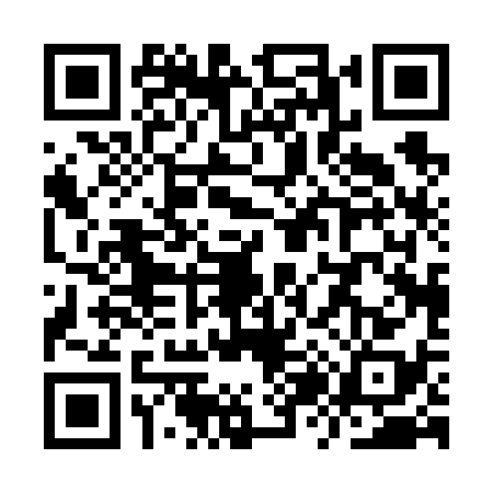 QR code for YZ06386