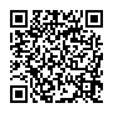 QR code for ZC01938