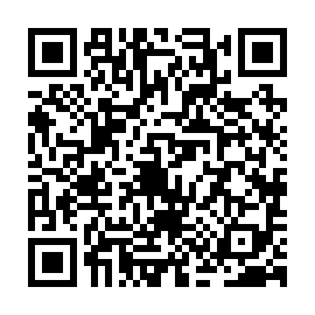 QR code for ZC82993