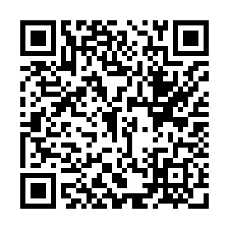 QR code for ZD38382