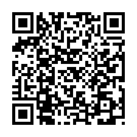 QR code for ZD80302