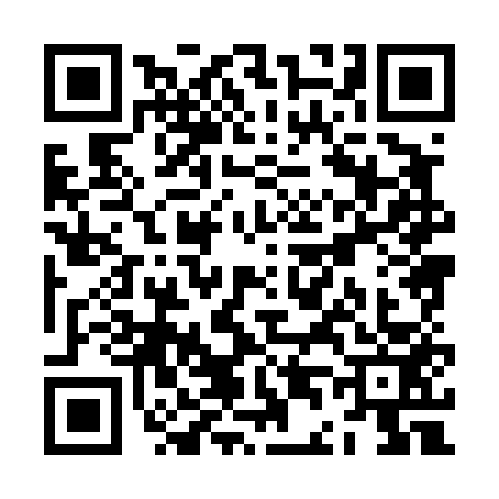 QR code for ZD84538