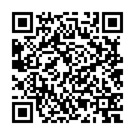 QR code for ZE28333