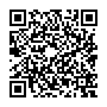 QR code for ZE81295