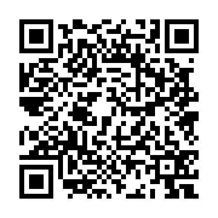 QR code for ZF00369