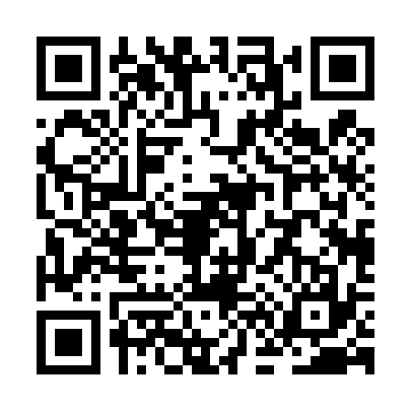 QR code for ZF04378