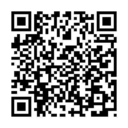 QR code for ZF04920