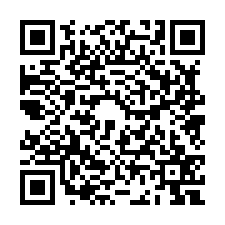 QR code for ZF08376