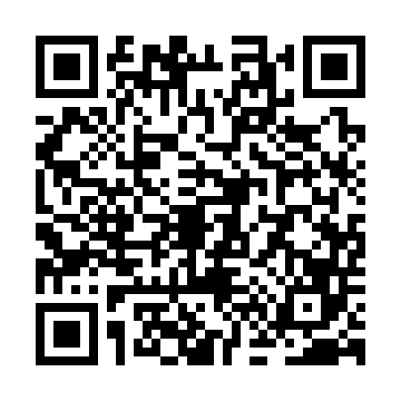 QR code for ZF13463