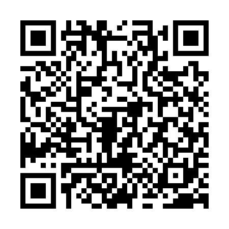 QR code for ZF53511