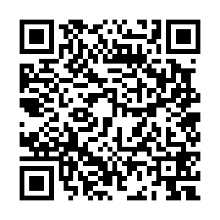 QR code for ZF70687