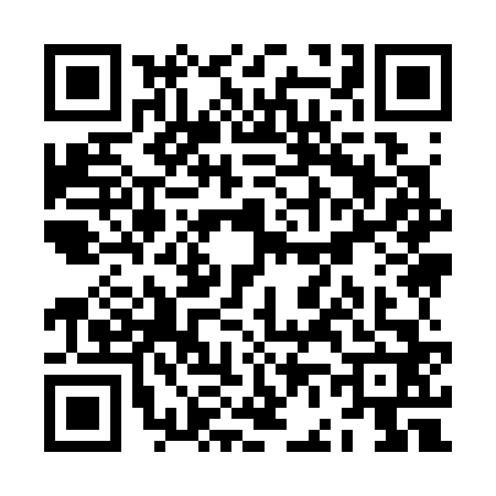 QR code for ZF93629