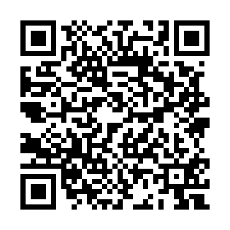 QR code for ZF95113
