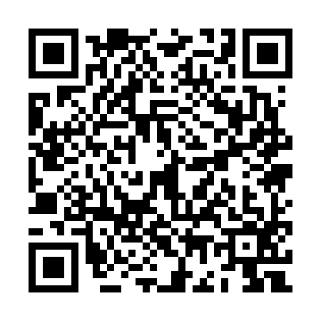 QR code for ZG16965