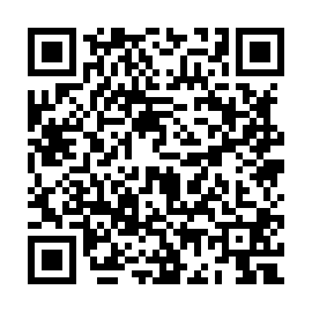QR code for ZG18009