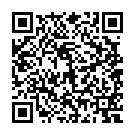 QR code for ZG20913