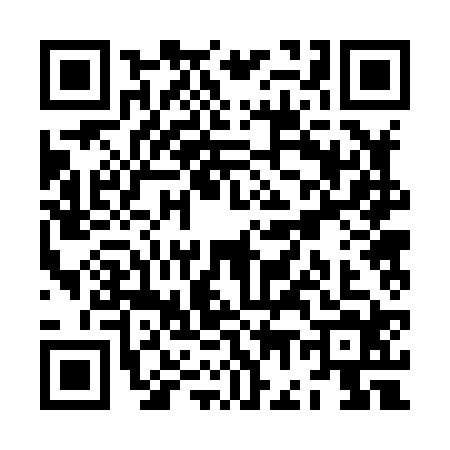 QR code for ZG28246