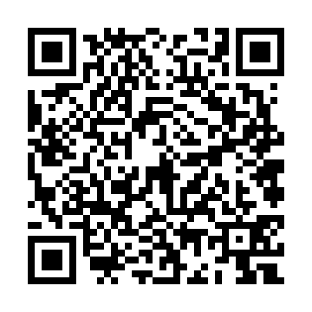 QR code for ZG66311