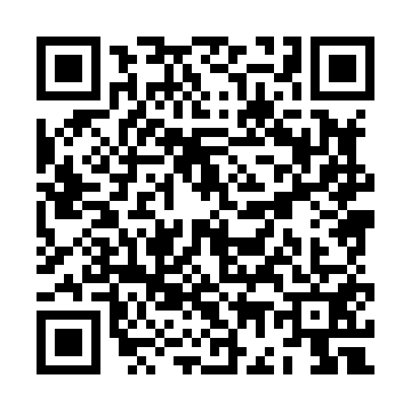 QR code for ZG88517