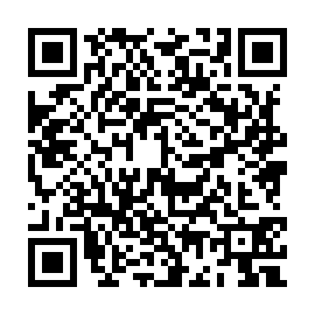 QR code for ZG89306