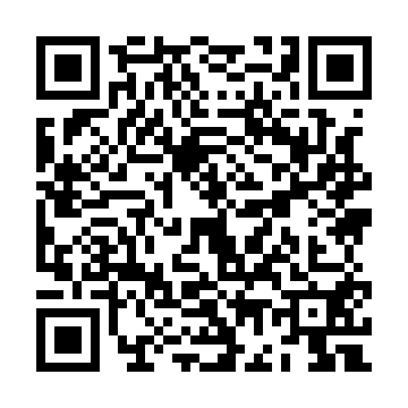 QR code for ZG91505