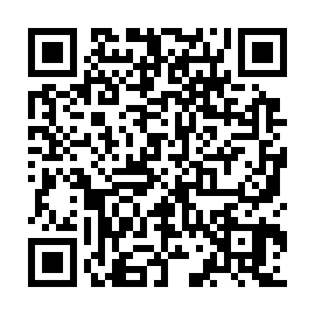 QR code for ZG93208