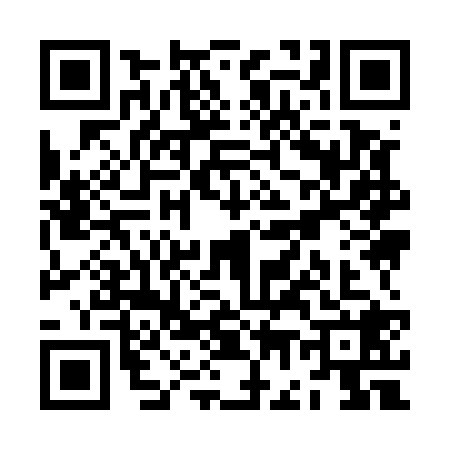 QR code for ZG95287