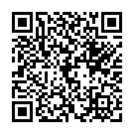 QR code for ZG95306