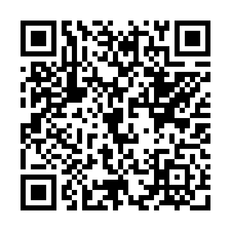QR code for ZG96417