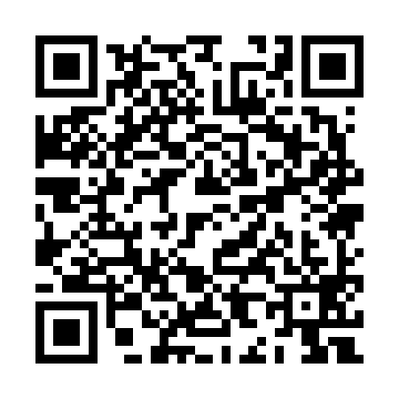 QR code for ZH16991
