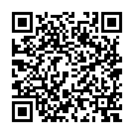 QR code for ZH19916