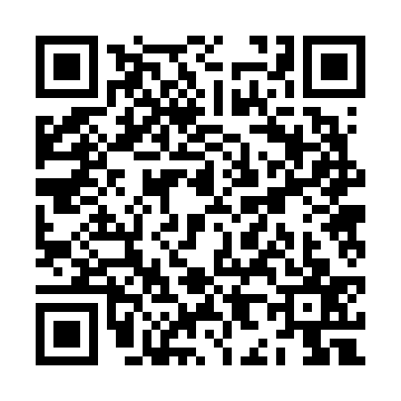 QR code for ZH26379