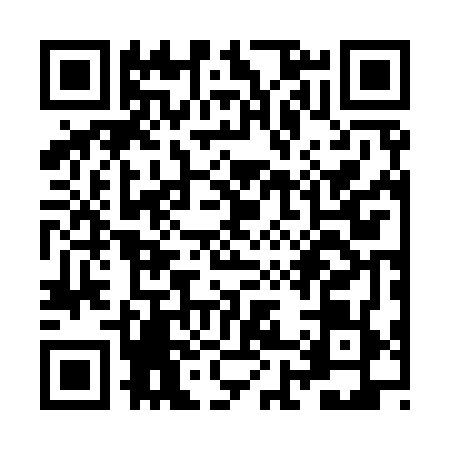 QR code for ZH29699