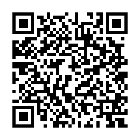 QR code for ZH30003