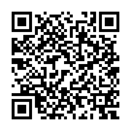 QR code for ZH35509