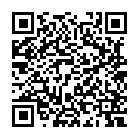 QR code for ZH38421