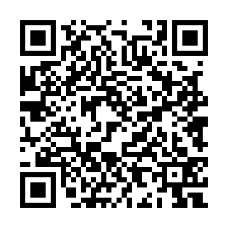 QR code for ZH41338